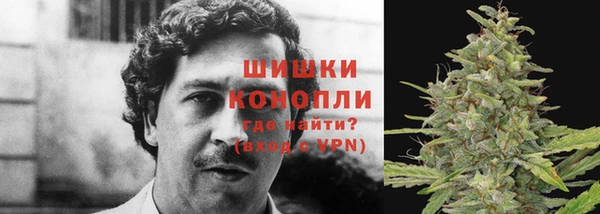 дмт Покачи