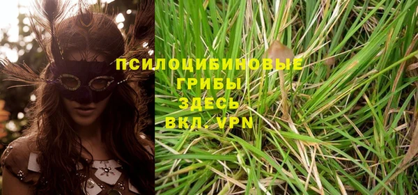 дмт Покачи