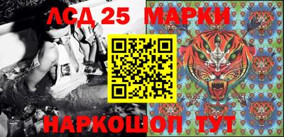 СК Будённовск