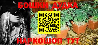 СК Будённовск