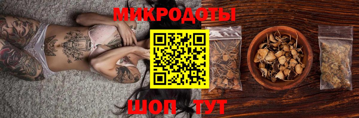 Галлюциногенные грибы Psilocybine cubensis  Ейск  Галлюциногенные грибы Magic Shrooms 