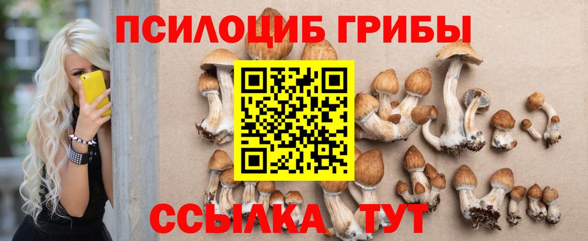 Галлюциногенные грибы Psilocybine cubensis Ейск