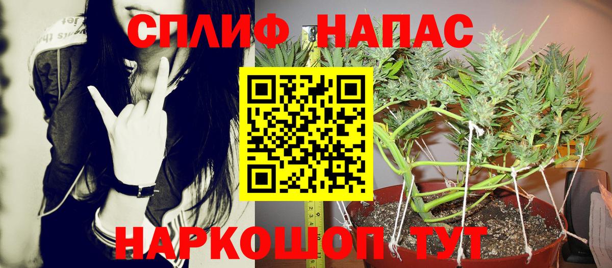 Марихуана план Ейск